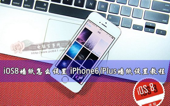 iPhone6/Plus的iOS8系統要怎麼設置牆紙？  