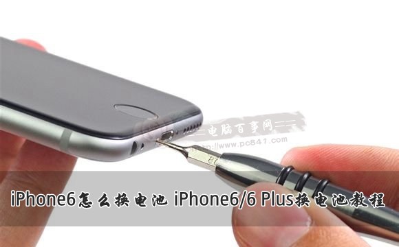 iPhone6/6 Plus怎麼換電池？  