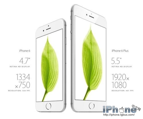 iPhone6是真正的全網通嗎？最低售價是多少？  
