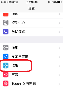 iPhone SE怎麼設置手機壁紙  iPhone SE設置壁紙教程