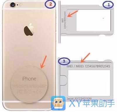 iPhone丟了怎麼辦？如何找回丟失的手機