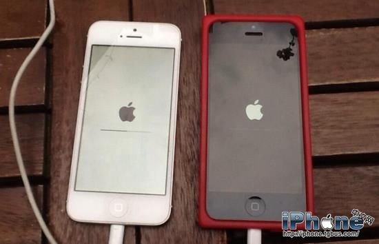 iPhone白蘋果、死機怎麼辦？  