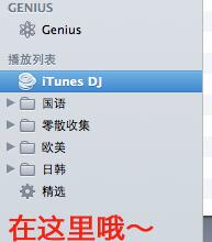 iPhone怎麼用itunes下載音樂?    