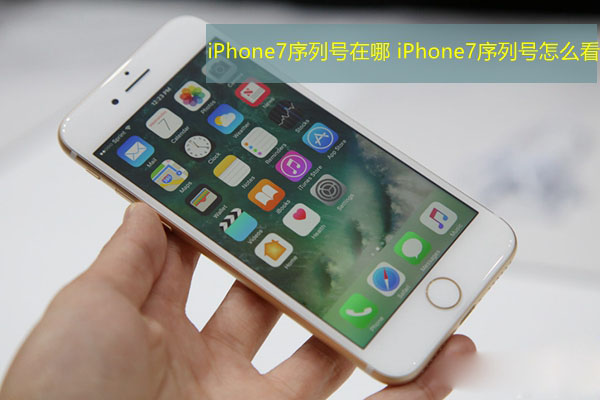 iPhone7序列號在哪看 蘋果iPhone7序列號如何查詢  