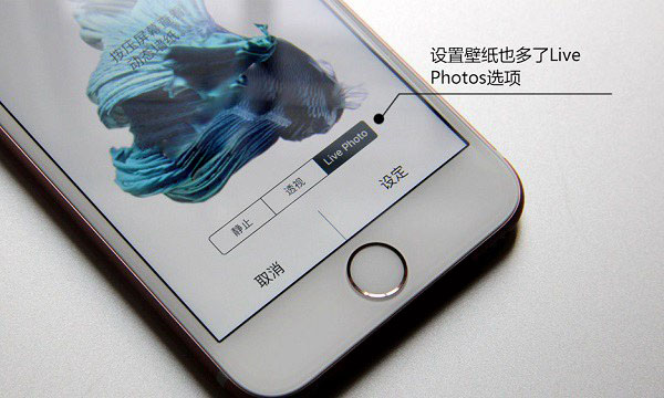 Live Photos是什麼 iPhone7怎麼關閉Live Photos