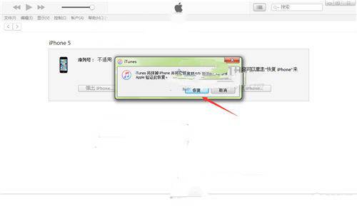 iPhone7Plus怎麼通過iTunes升級iOS10.1？蘋果7Plus通過iTunes升級iOS10.1教程