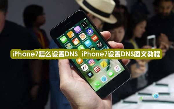 iPhone7怎麼設置DNS？  