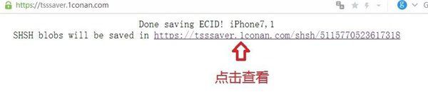 干貨教程：教你如何備份蘋果iPhone SHSH2文件