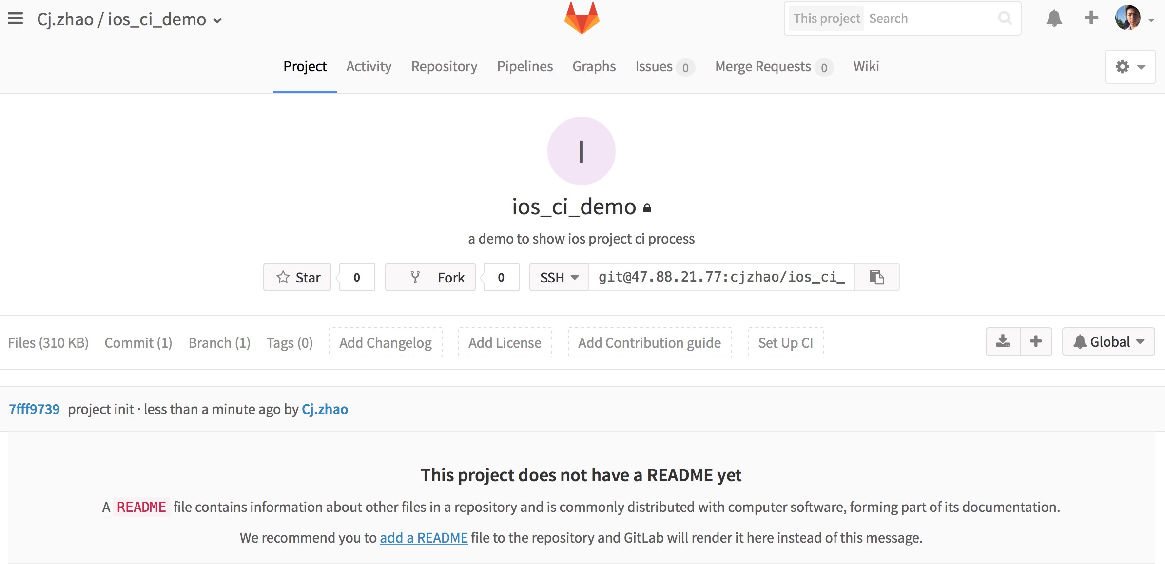 gitlab_project_home_first