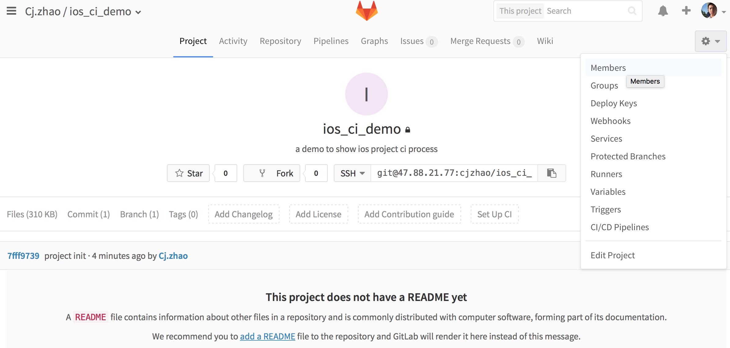 gitlab_project_setting_menu