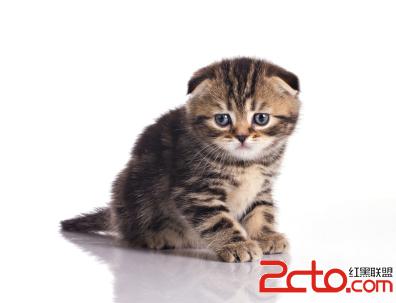 Network calls on the main thread makes kittens sad.