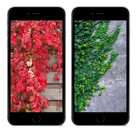 嘗鮮iOS10壁紙下載 4張iOS 10自帶壁紙下載