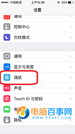 iPhone SE怎麼設置手機壁紙  iPhone SE設置壁紙教程