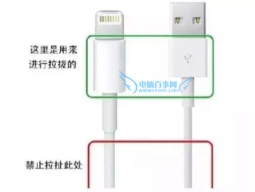 iPhone數據線怎麼保護？淺談iPhone數據線保養技巧