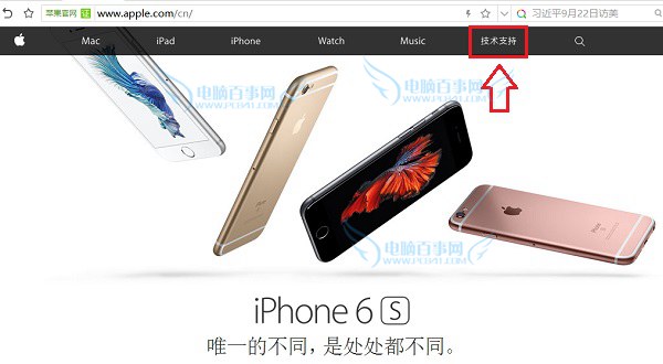 iPhone 6s激活時間怎麼看 iPhone6s序列號查詢激活時間教程