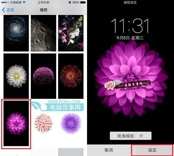 iPhone6 Plus壁紙怎麼設置 iPhone6 Plus換壁紙教程