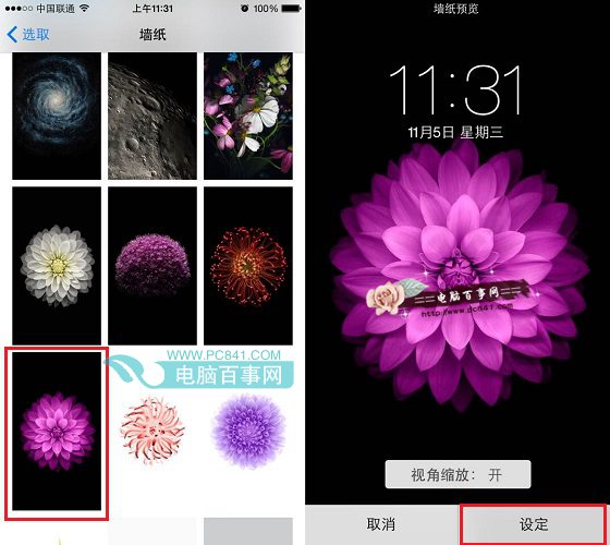 iPhone6怎麼換壁紙 iPhone6設置鎖屏壁紙與桌面壁紙方法