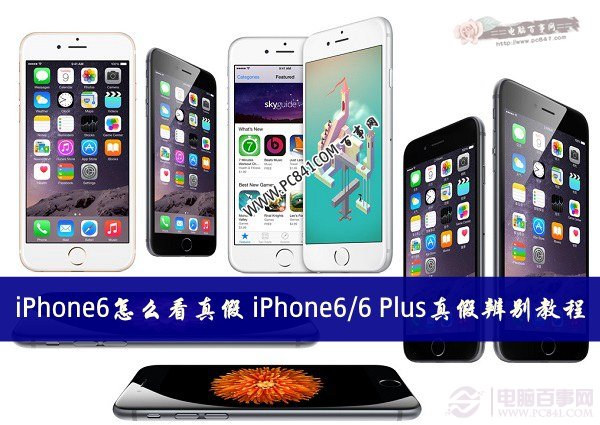 iPhone6怎麼看真假 iPhone6/6 Plus真假辨別教程