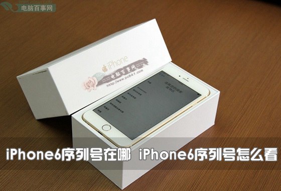 iPhone6序列號在哪 iPhone6序列號怎麼看？