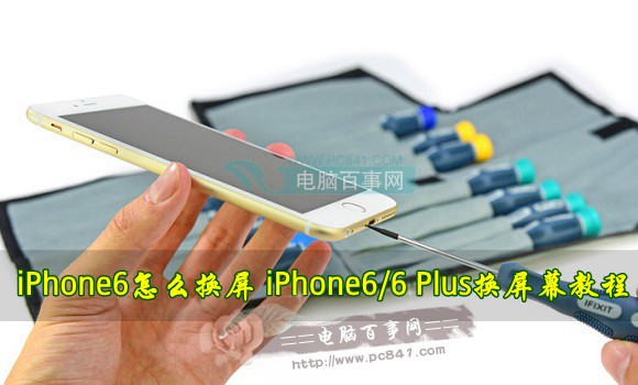 iPhone6怎麼換屏 iPhone6/6 Plus換屏幕教程