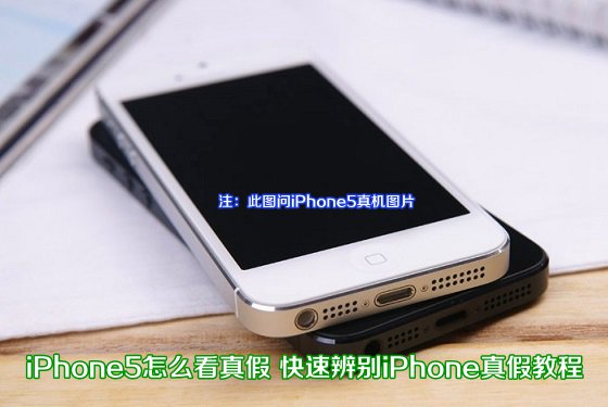 iPhone5怎麼看真假 快速辨別iPhone真假教程