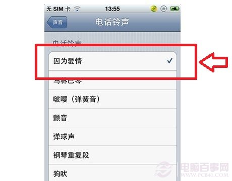 iPhone5S鈴聲設置更換方法 電腦百事網教程