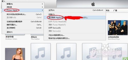 顯示我的Apple ID