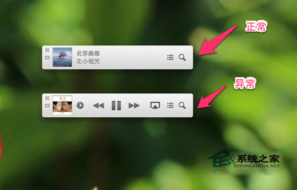  MAC系統iTunes 11 Mini Player一直顯示控制按鈕怎麼辦？