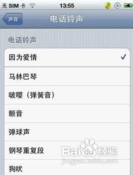 蘋果iphone5鈴聲設置方法