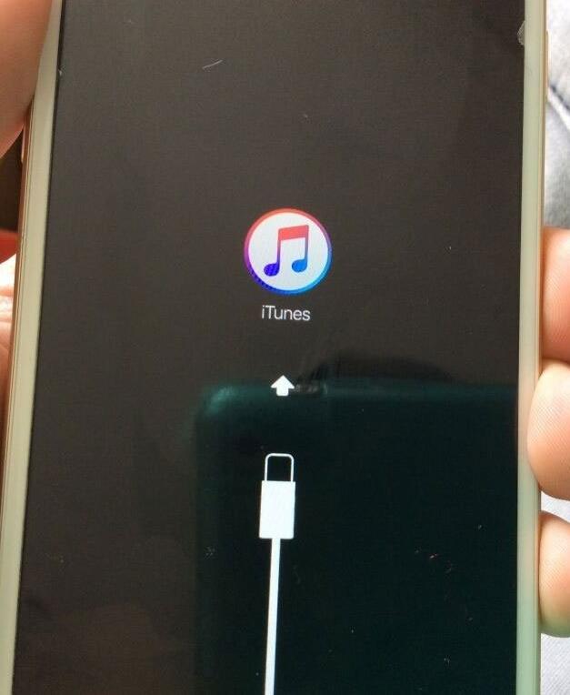 蘋果iPhone7plus黑屏怎麼辦？iPhone7 plus黑屏解決辦法