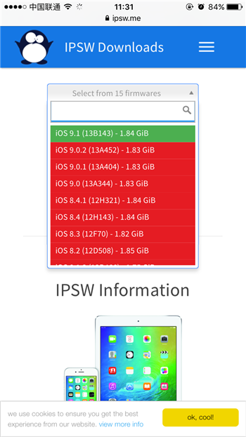 哪裡可以查看iPhone固件是否關閉驗證？