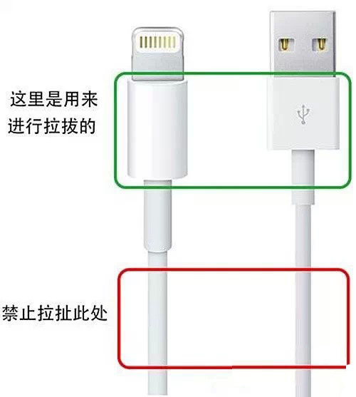 教你如何保養蘋果iPhone數據線