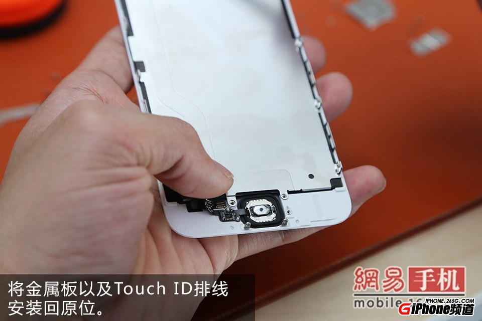 iPhone6碎屏怎麼辦？手把手教你給iPhone6換屏幕