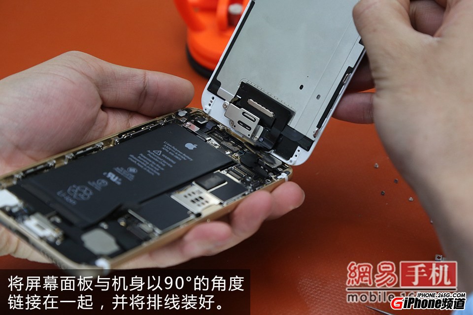 iPhone6碎屏怎麼辦？手把手教你給iPhone6換屏幕