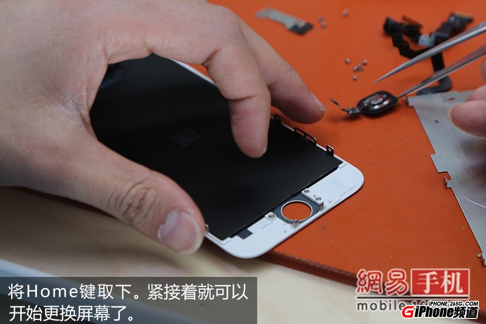 iPhone6碎屏怎麼辦？手把手教你給iPhone6換屏幕