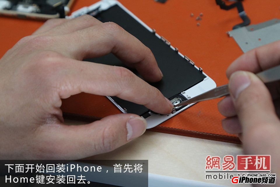 iPhone6碎屏怎麼辦？手把手教你給iPhone6換屏幕