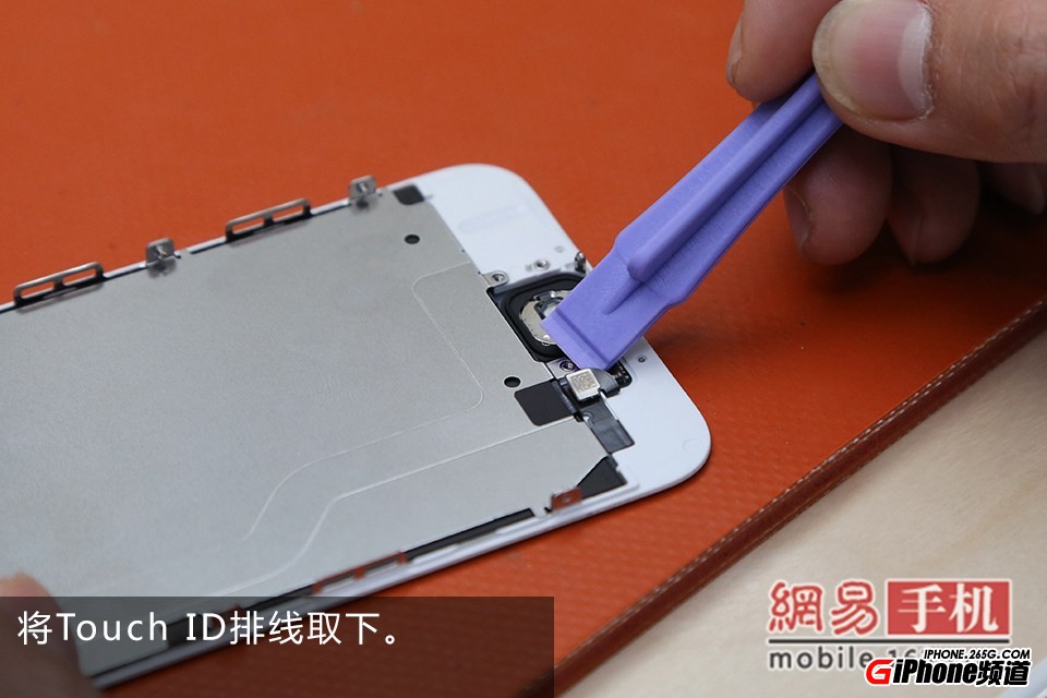 iPhone6碎屏怎麼辦？手把手教你給iPhone6換屏幕