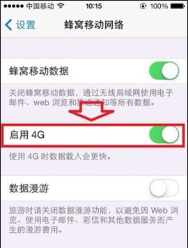 iPhone5s4G