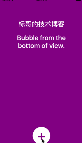 bubble.gif