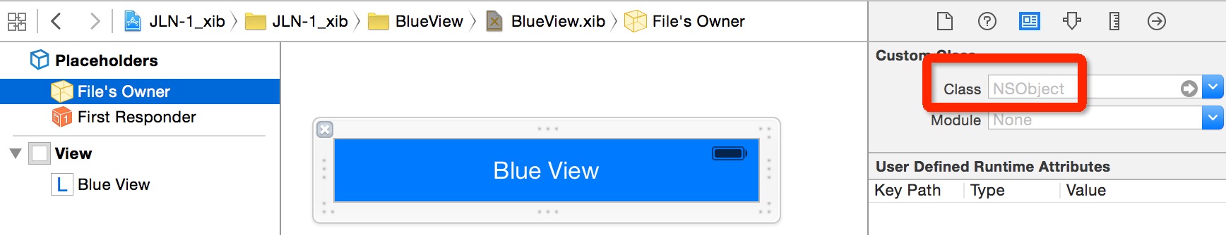 blueview_xib.png