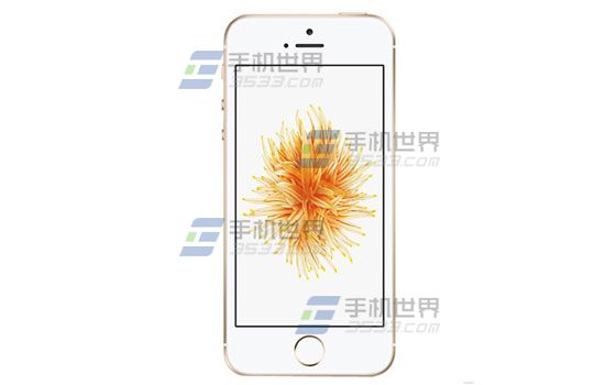 iPhoneSE輸錯密碼顯示已停用怎麼辦