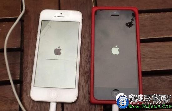 iPhone白蘋果怎麼回事？iPhone白蘋果解決辦法匯總