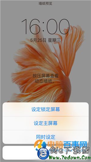 iPhone6s動態壁紙不動怎麼辦  iPhone6s動態壁紙設置教程