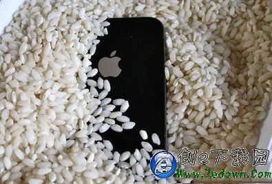 iphone6進水了怎麼辦 iphone6進水無法開機解決方法