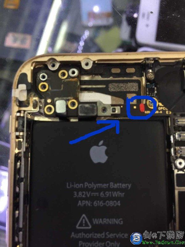 iphone6進水了怎麼辦 iphone6進水無法開機解決方法