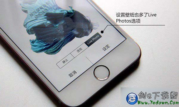 iPhone6s玫瑰金Live Photos拍照功能如何使用？