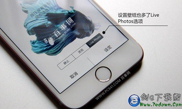 Live Photos怎麼關閉 iPhone6s關閉Live Photos拍照方法