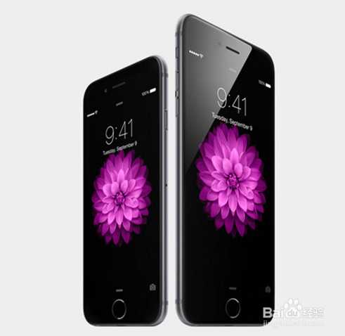 iPhone6 Plus港版怎麼預定?iPhone6港版預約流程