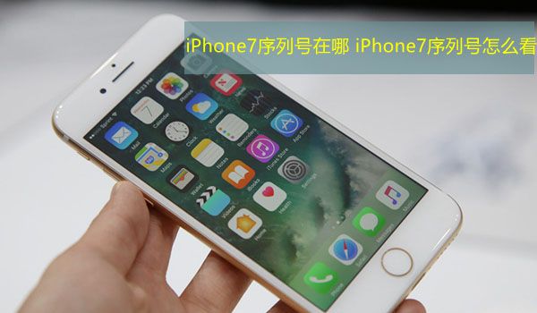 iPhone7序列號在哪看 蘋果iPhone7序列號如何查詢 arpun.com