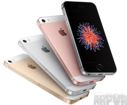 4招教你辨認iPhoneSE和iPhone5s arpun.com